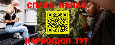 дурь Сланцы